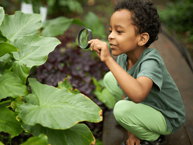 7 Ways to Raise a Natural Child